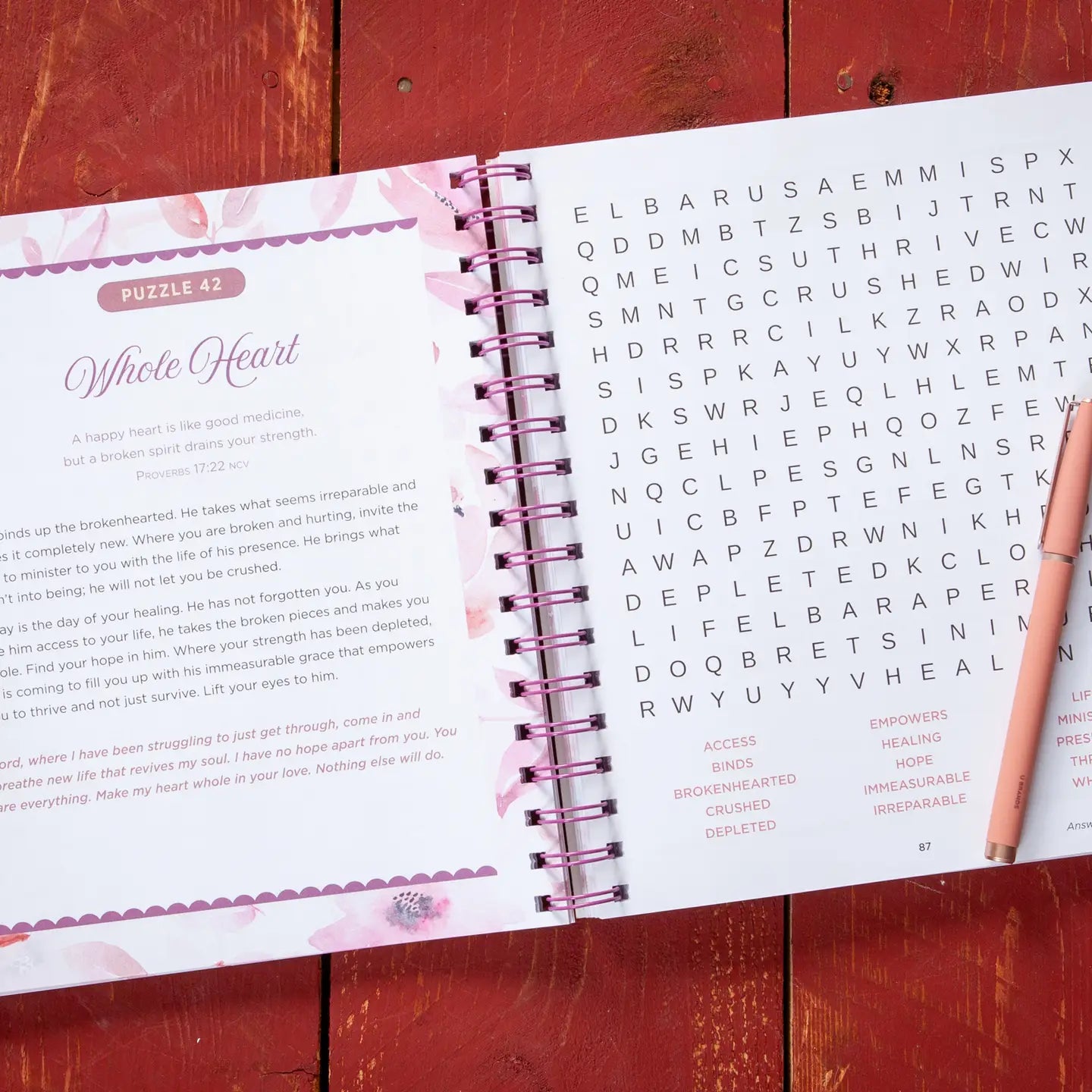 100 Days of Hope For Your Soul - Word Search Devotional