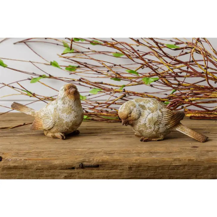 Natural Weathered Birds