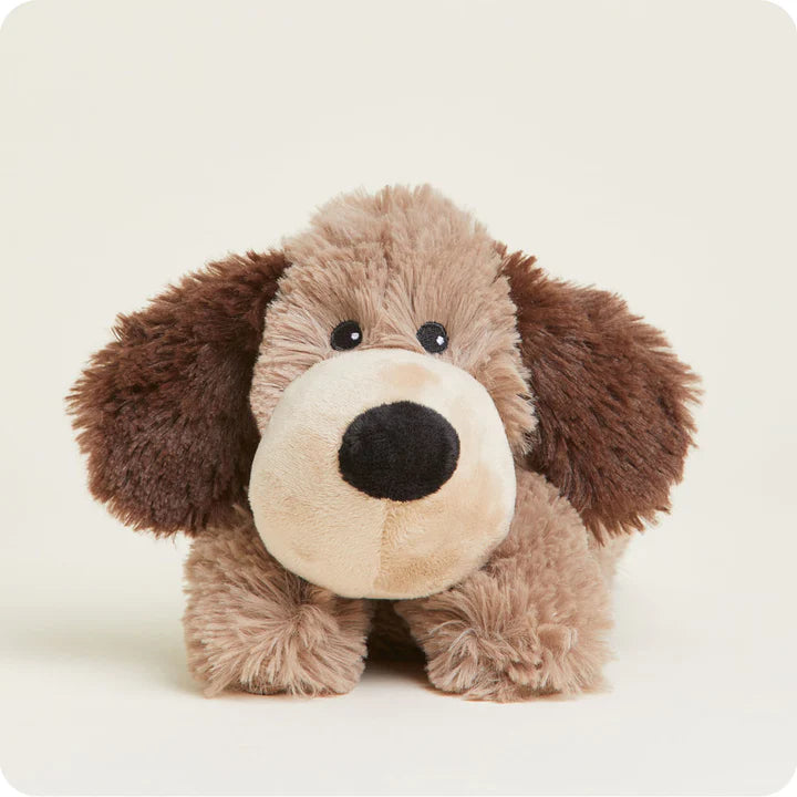 Brown Dog Junior Warmie