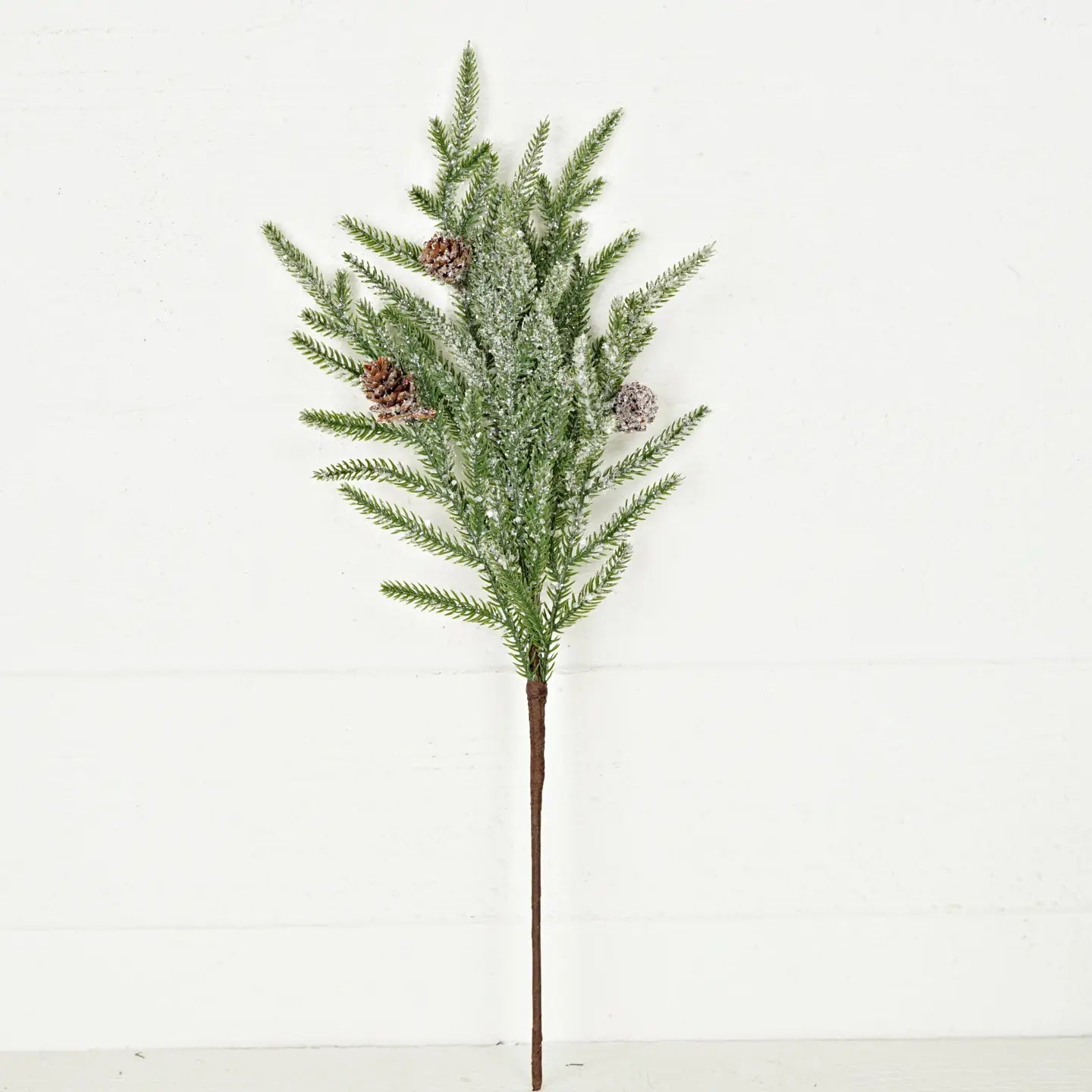 Norfolk Pine Pick