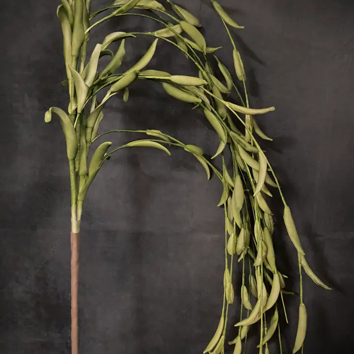 Jade Green Cascade Branch