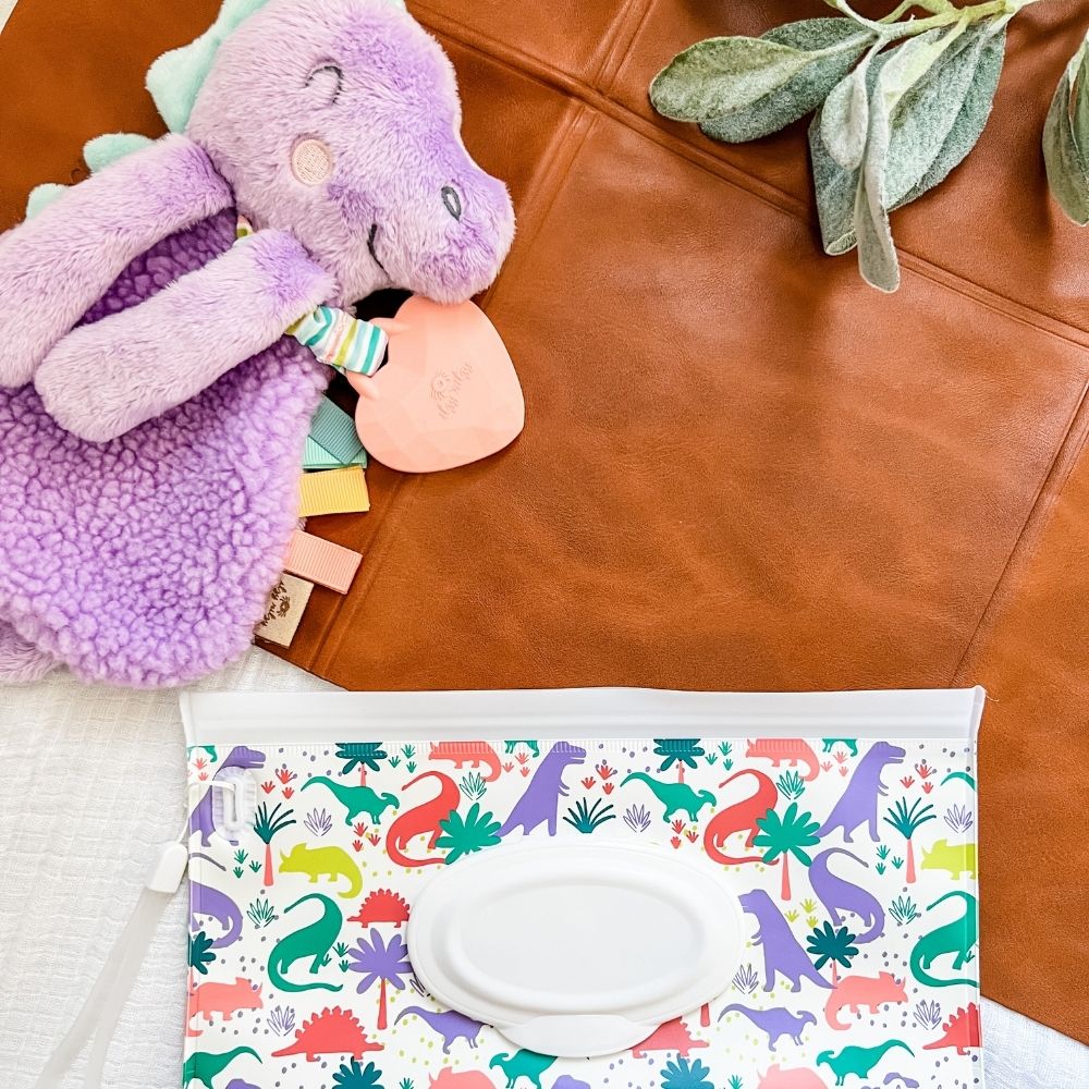 Darling Dinos Take and Travel™ Pouch Reusable Wipes Cases