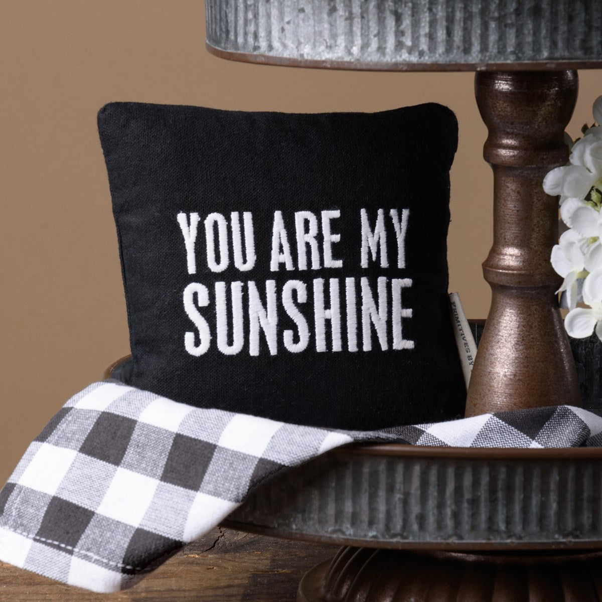 You Are My Sunshine Mini Pillow