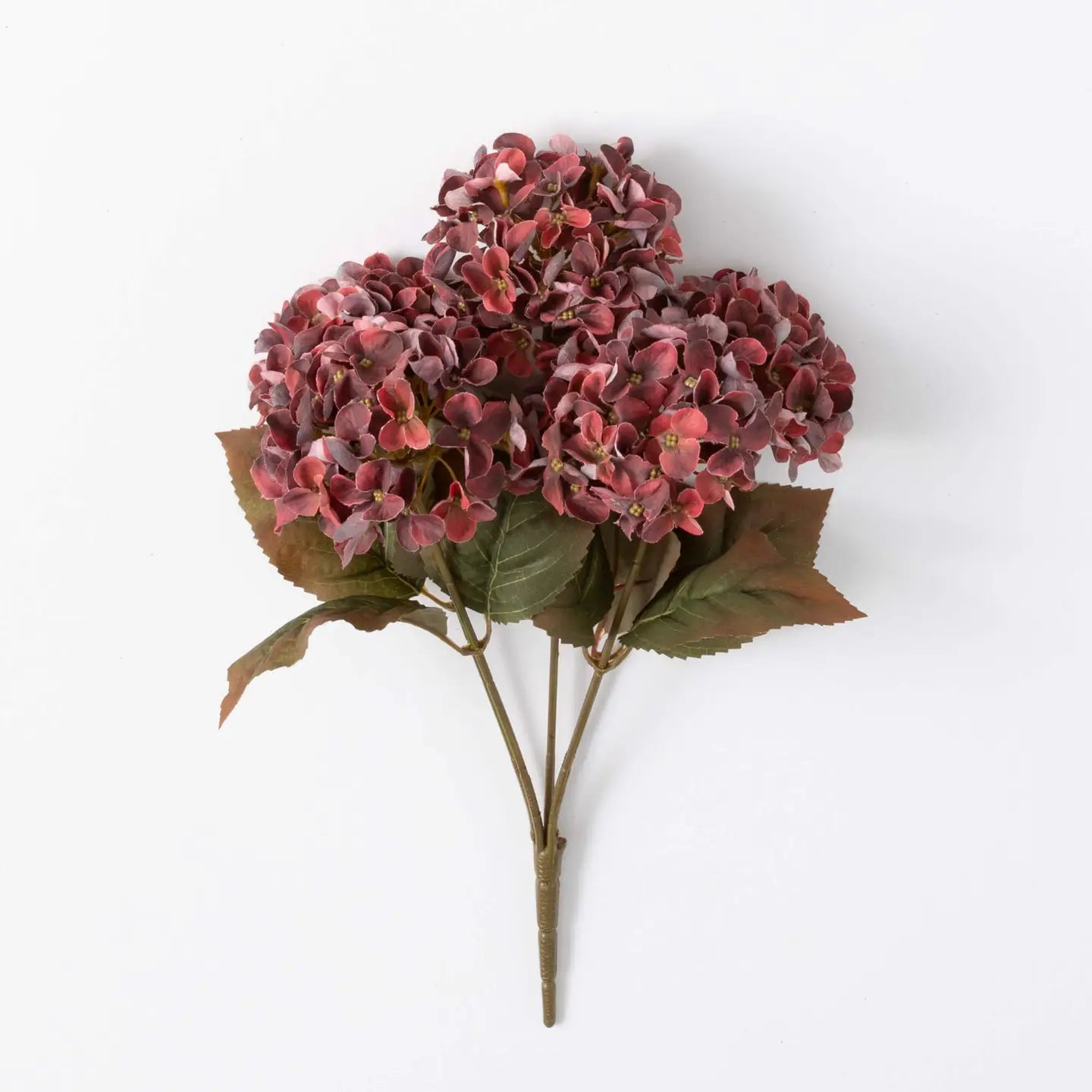 Wine Hydrangea Bush