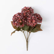Wine Hydrangea Bush