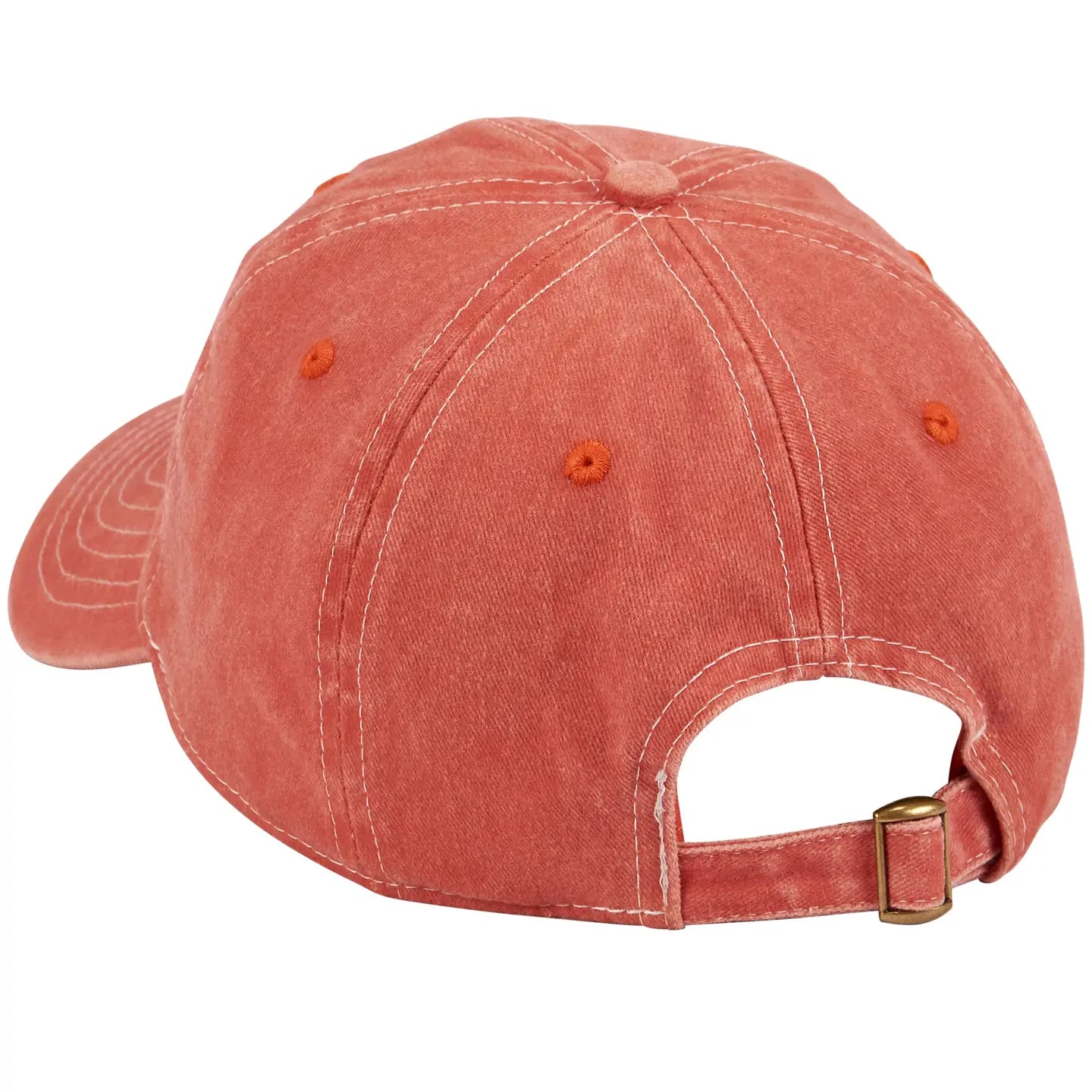 Absolutely Not Baseball Cap