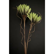 Spring Green Flower 34x20"