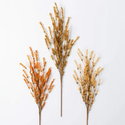 Fall Field Spray