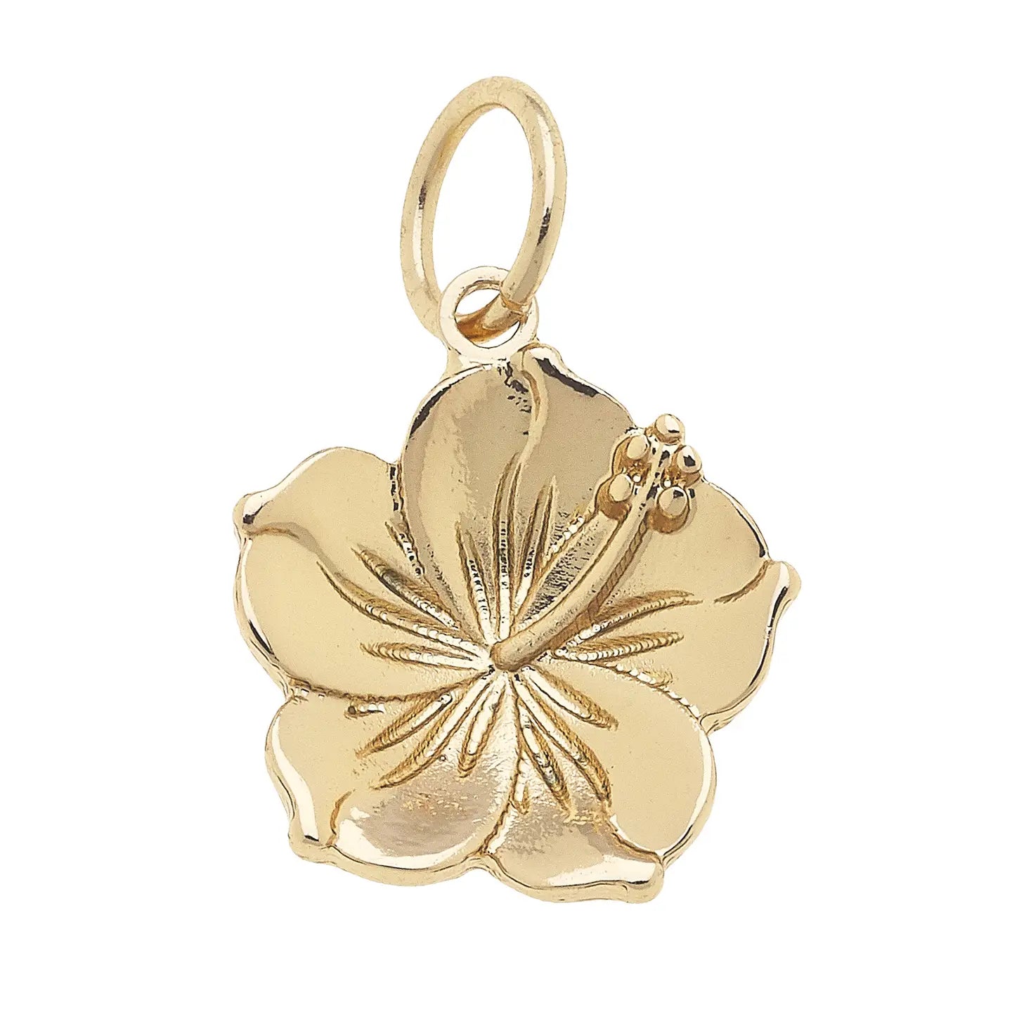 Hibiscus Charm