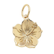Hibiscus Charm