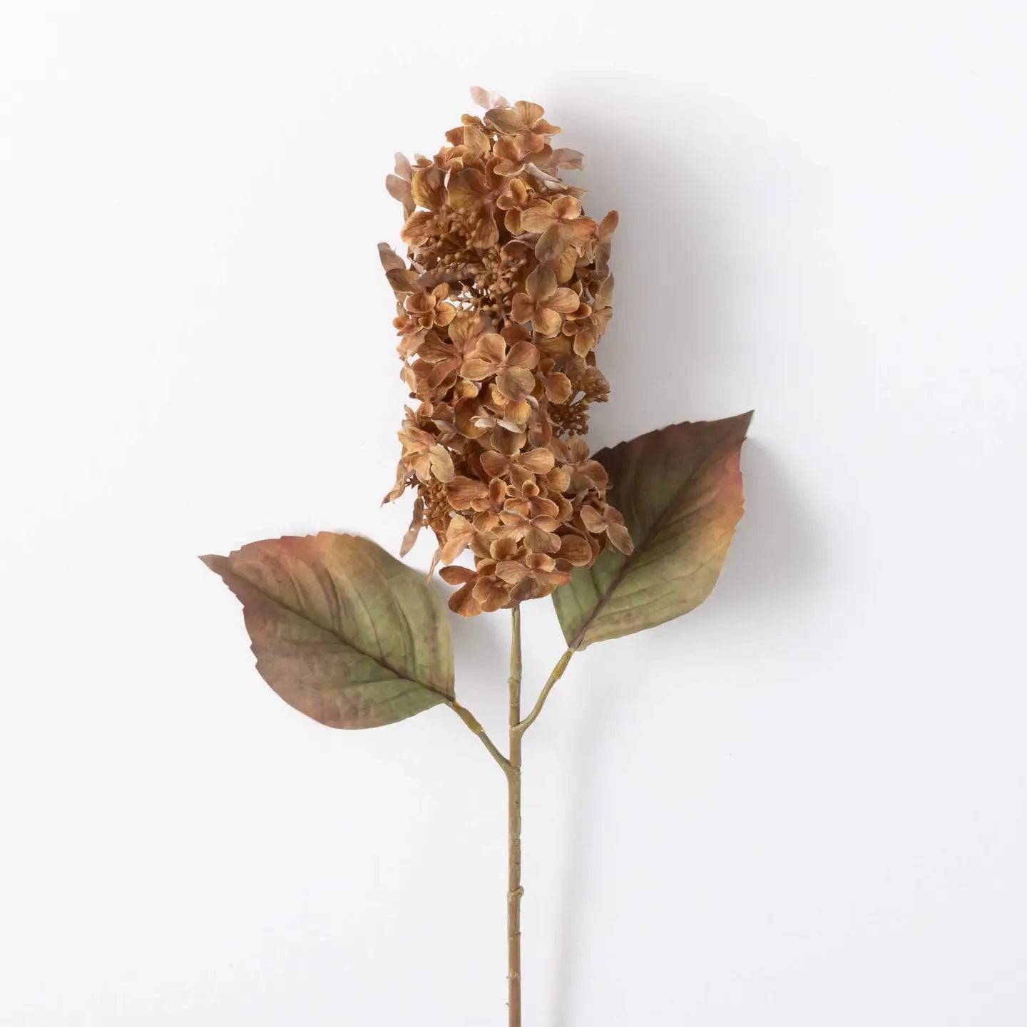 Honey Hydrangea Spray