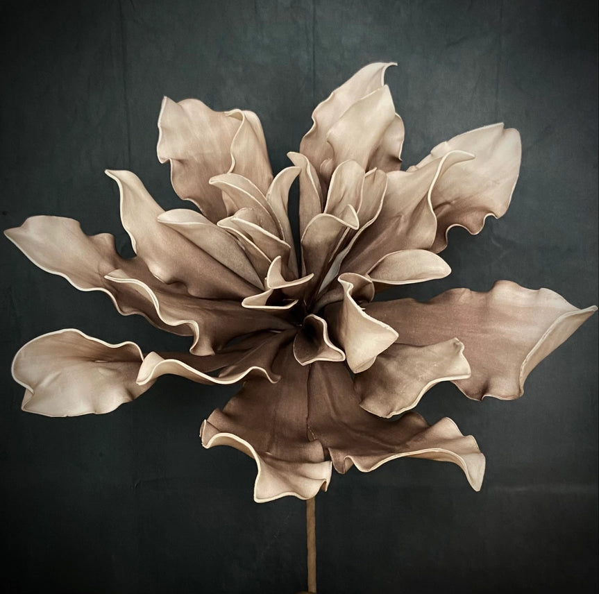 Desert Mauve Foam Flower
