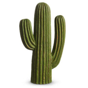 Green Cactus
