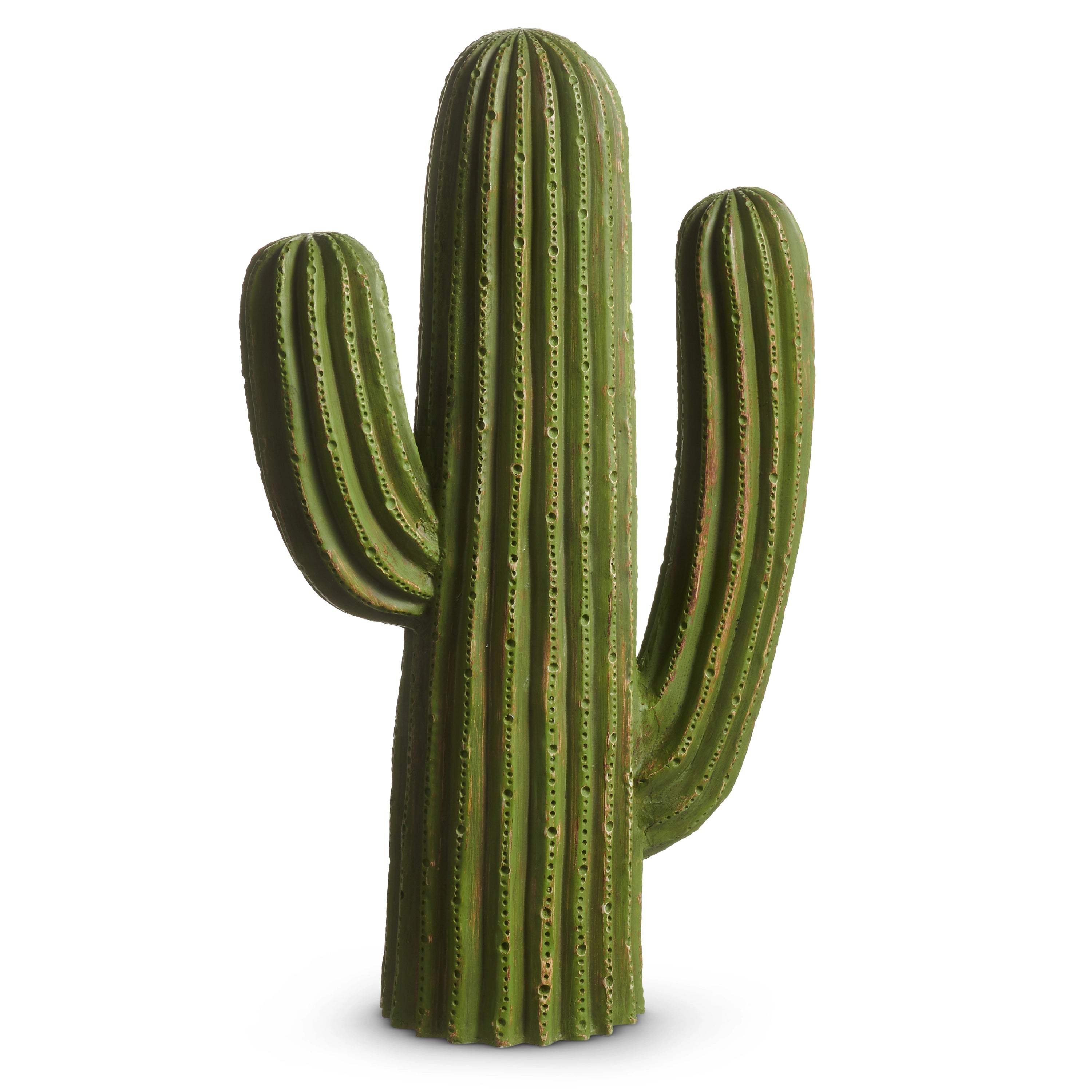 Green Cactus