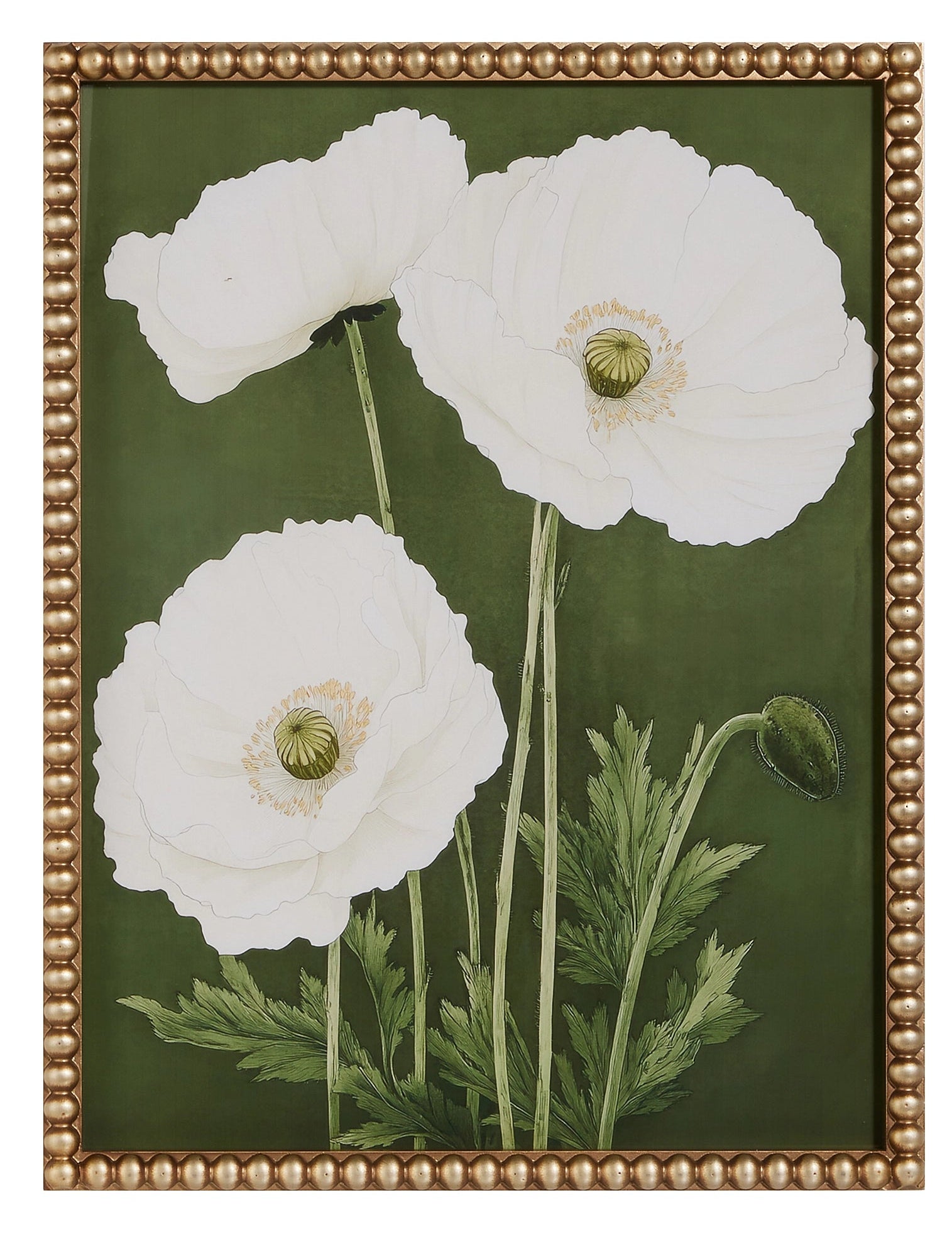 Poppy Petals Framed Wall Art