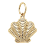 Clamshell Charm