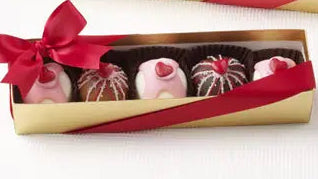 5pc Fudge Love Chocolate Truffles