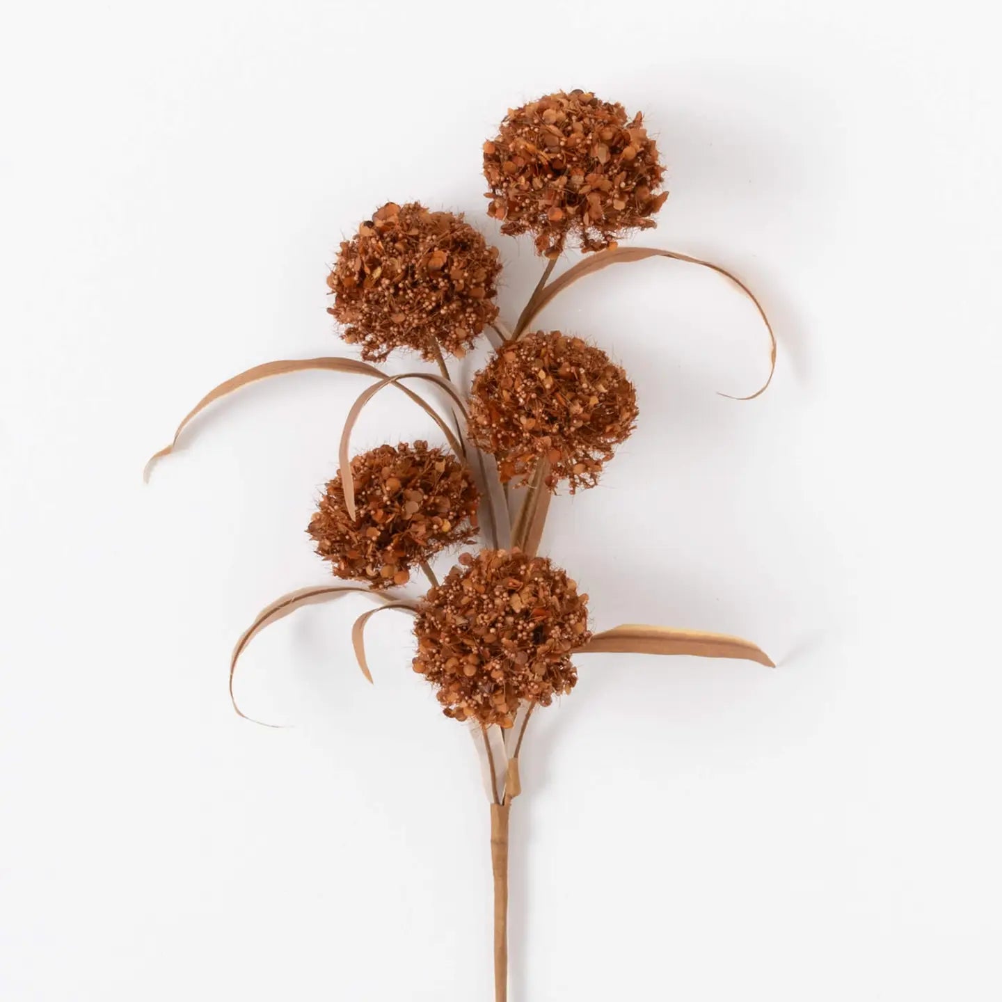 Rust Puff Spray