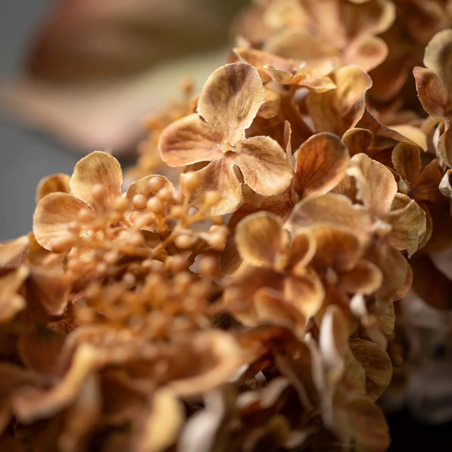 Honey Hydrangea Spray