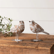 Weathered White Birds