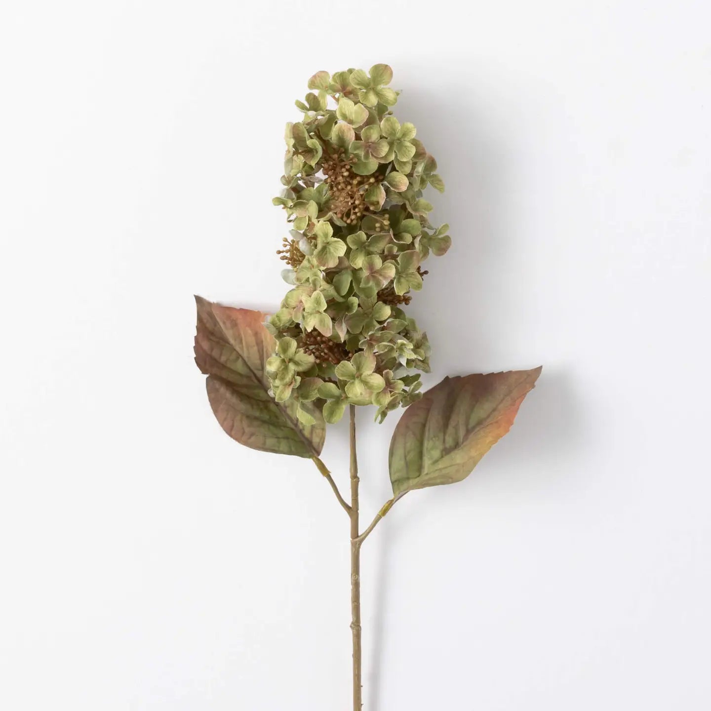 Green Hydrangea Spray