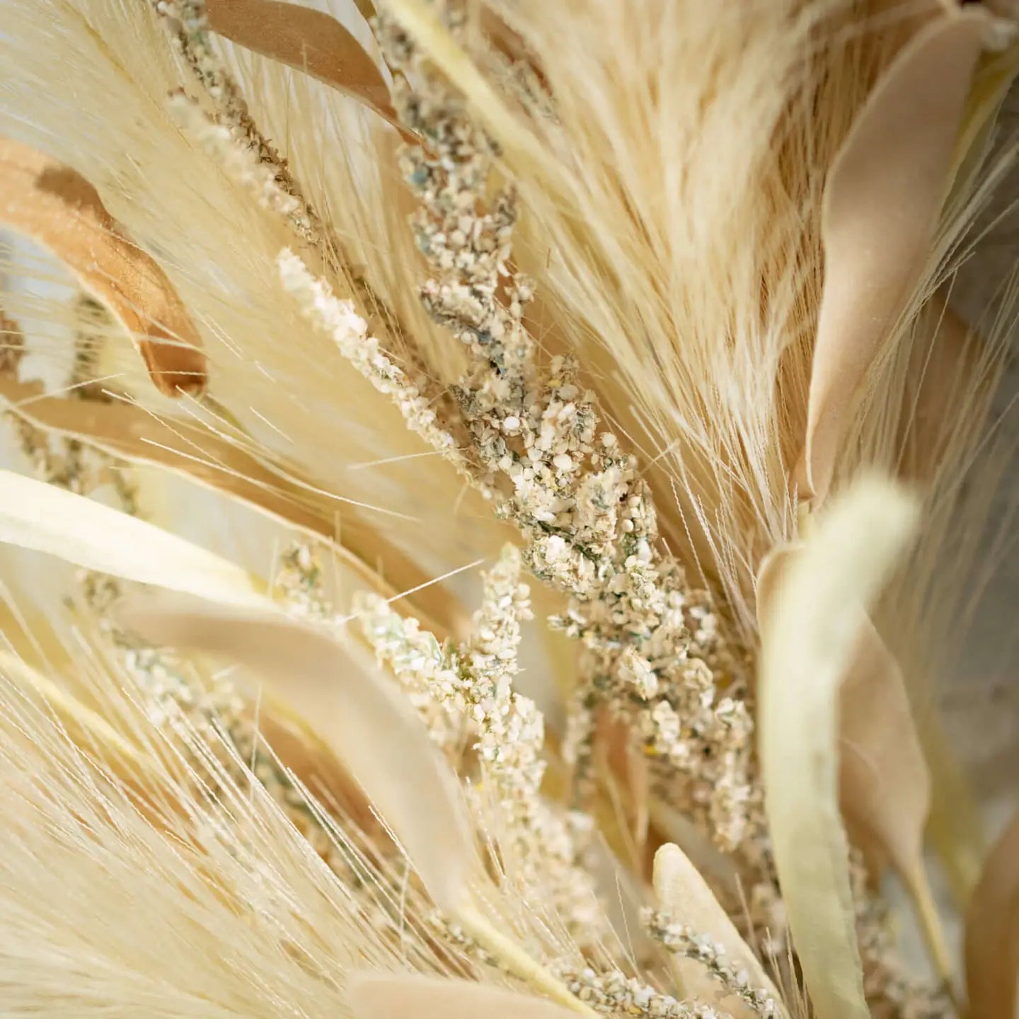 Plume Grass & Berry Pick