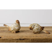 Natural Weathered Birds