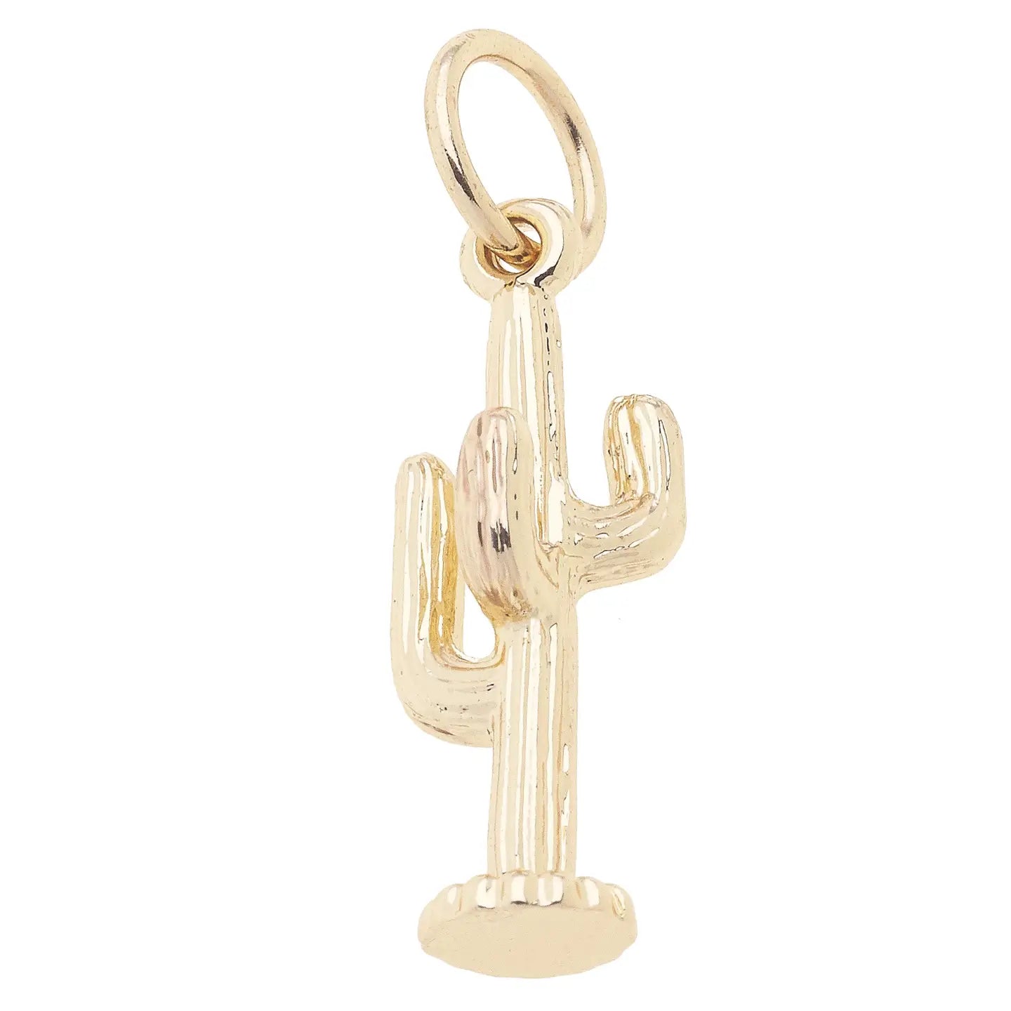 Cactus Charm