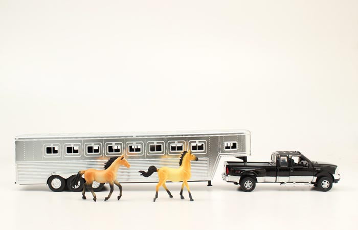 Bigtime Rodeo Play Set