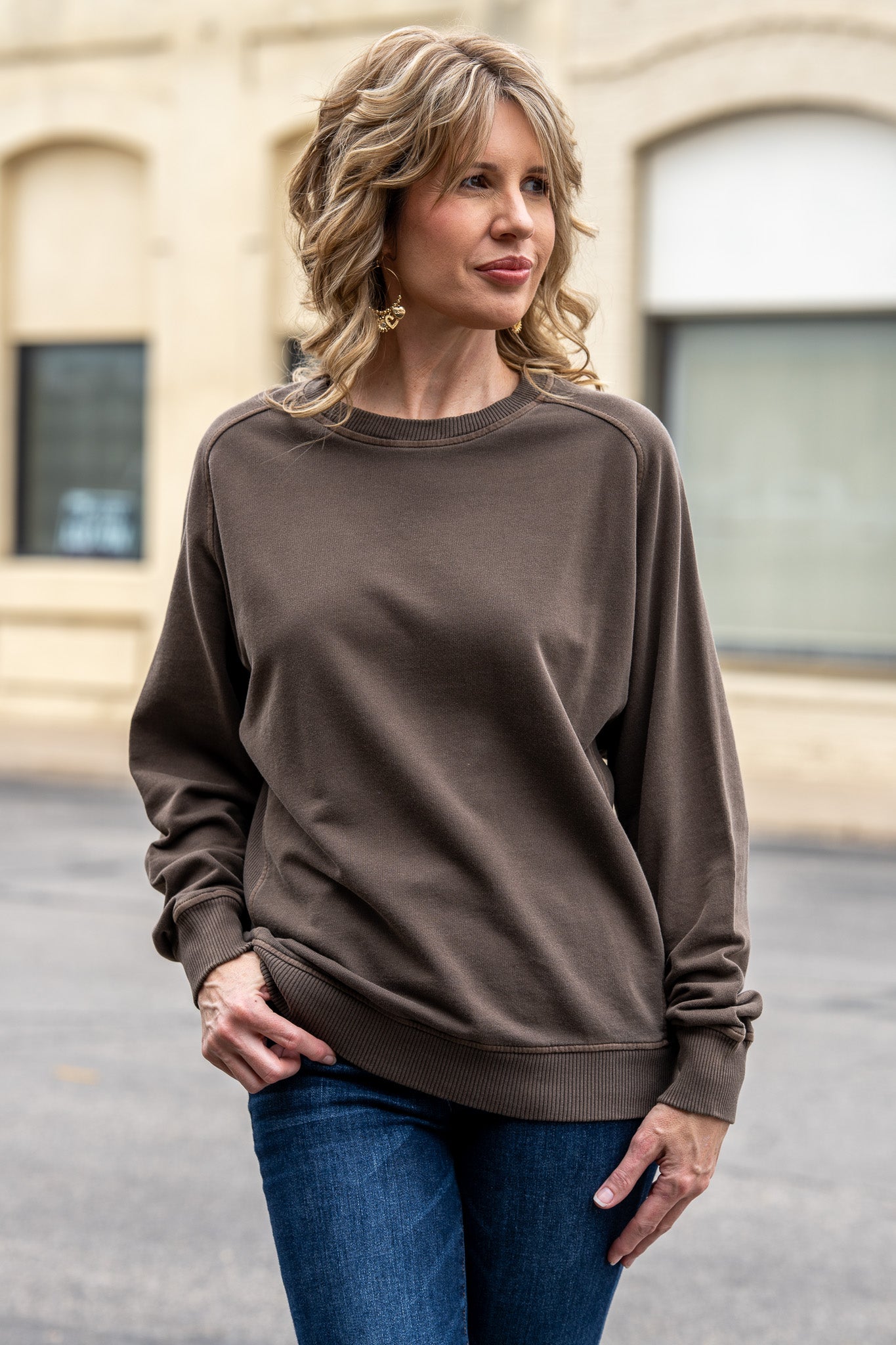 The Soft Stretch Brown Pullover