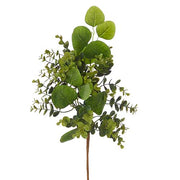 Boxwood & Eucalyptus Pick