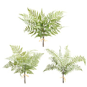 Soft Touch Fern Bundle