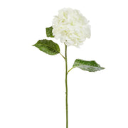 Snowy Hydrangea Stem
