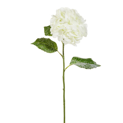 Snowy Hydrangea Stem