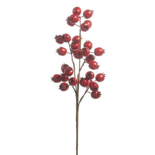 Matte Red Berry Spray