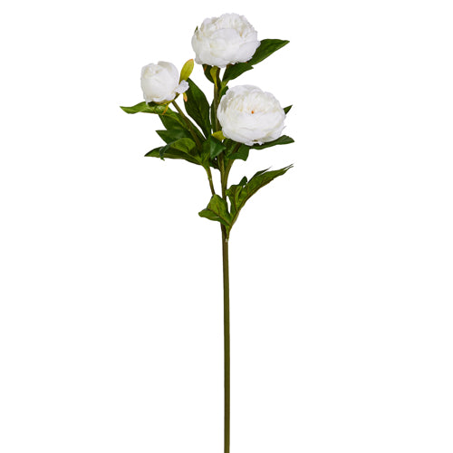 White Peony Spray