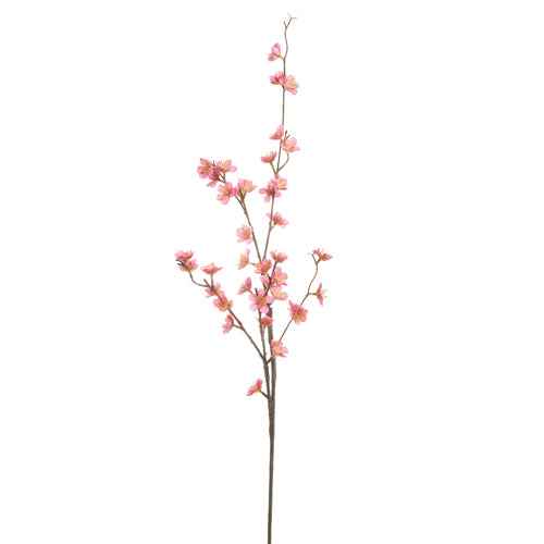 Pink Blossom Branch