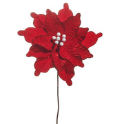Red Velvet Poinsettia