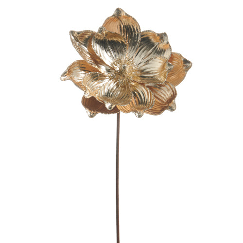 Gold Magnolia Stem