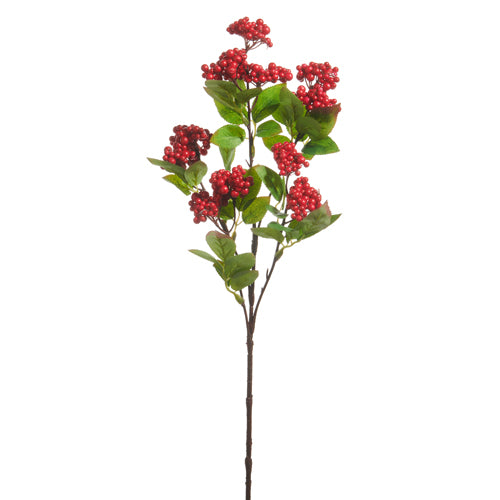 Berry Cluster Spray