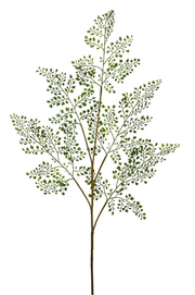Maidenhair Fern Spray