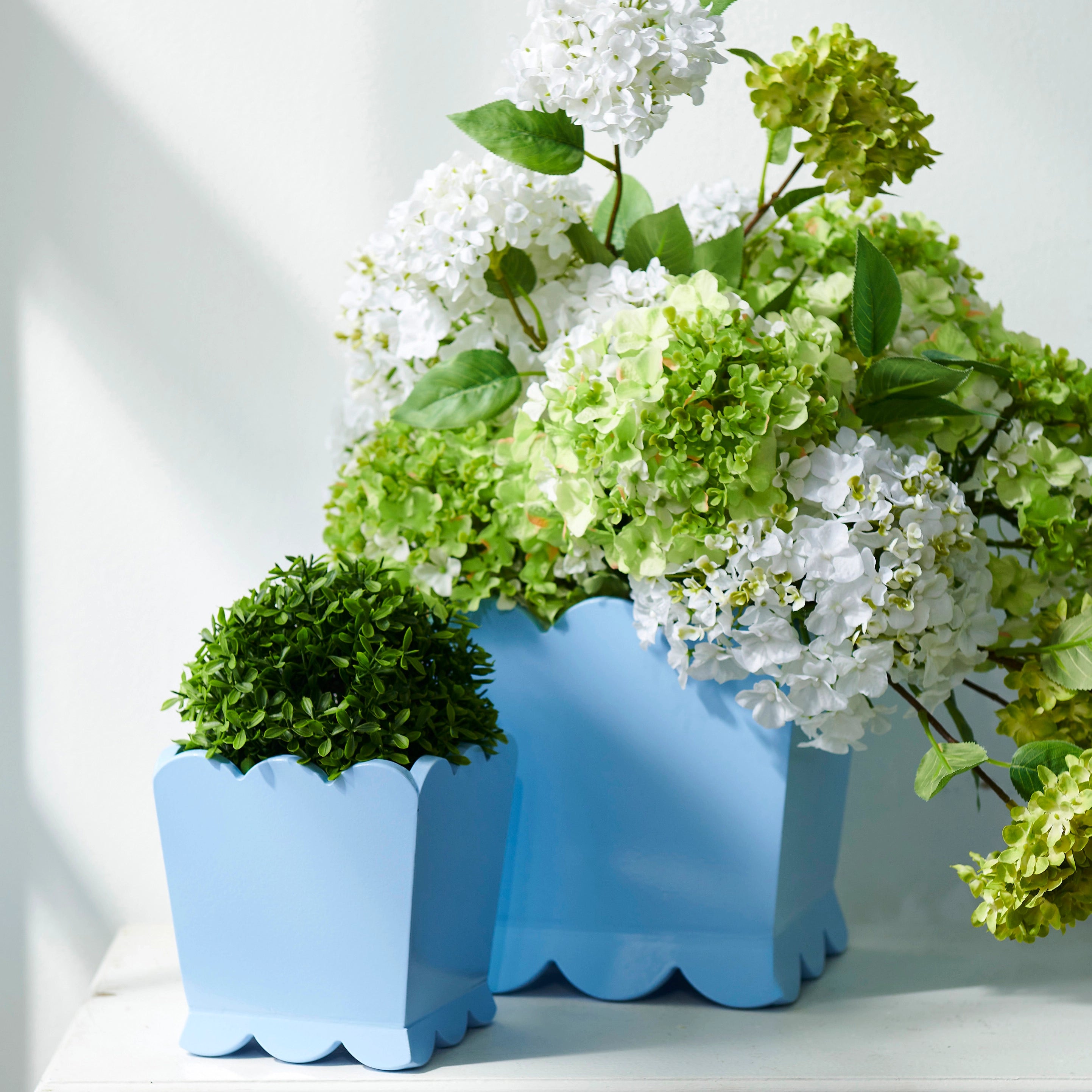 White Snowball Hydrangea Branch