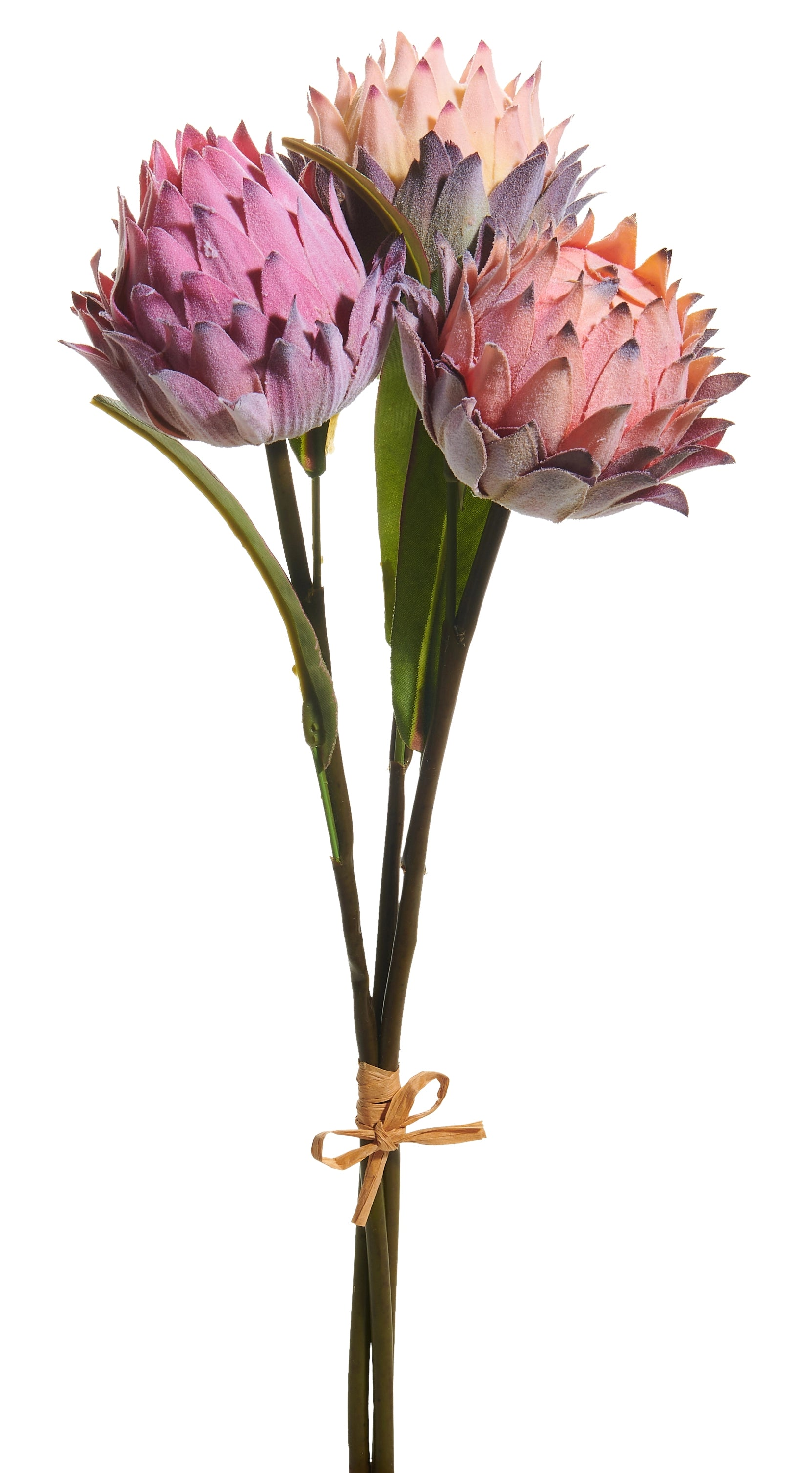 Protea Bundle