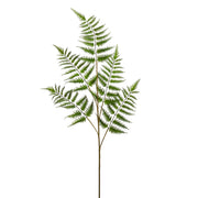 Fern Spray