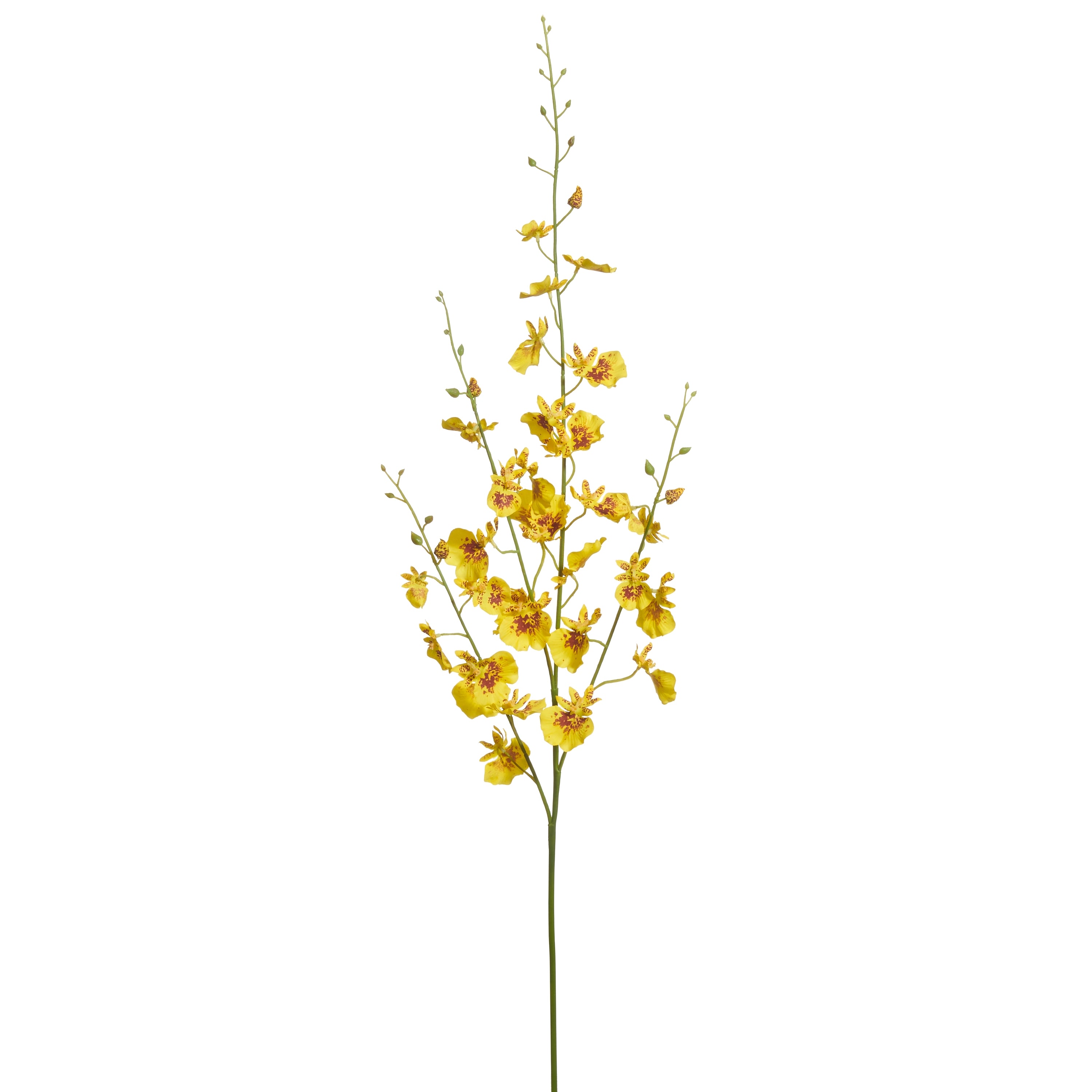 27" Yellow Dancing Orchid Stem