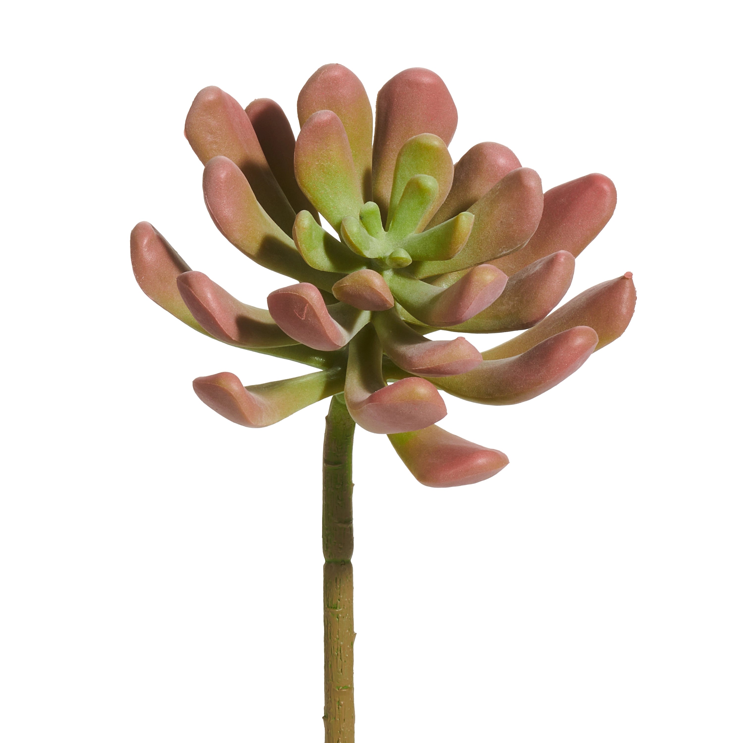 7" Pink Succulent Stem