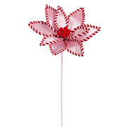 Pink Peppermint Poinsettia