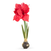 Real Touch Amaryllis Bulb