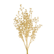 Gold Leaf Bush