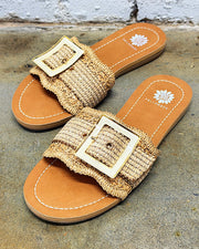 Hamlyn Natural Slides